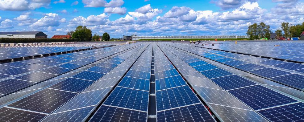 solar farm